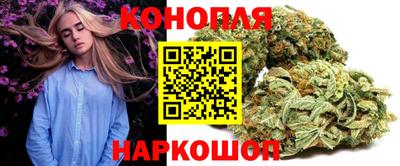 сатива Изобильный