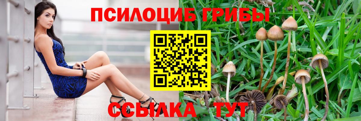 Соликамск  Галлюциногенные грибы Magic Shrooms  Вход с VPN  Галлюциногенные грибы MAGIC MUSHROOMS 